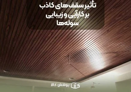 تأثیر سقفهای کاذب بر کارآیی و زیبایی سولهها