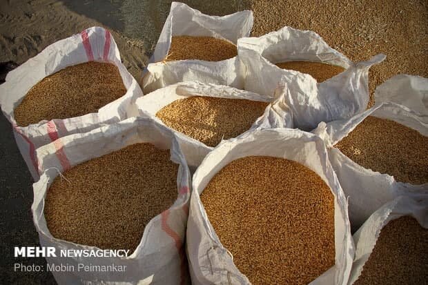 درخواست آزادسازی نرخ سبوس به نفع بازار مصرف گوشت نیست - خبرگزاری مهر | اخبار ایران و جهان