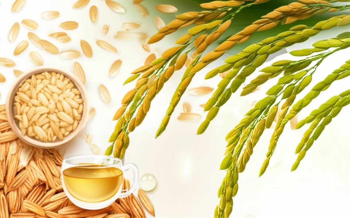 شامپو سبوس برنج پرمون برای موهای خشک | آبرسان و ترمیم کننده