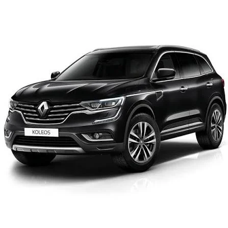 emdad renault clean