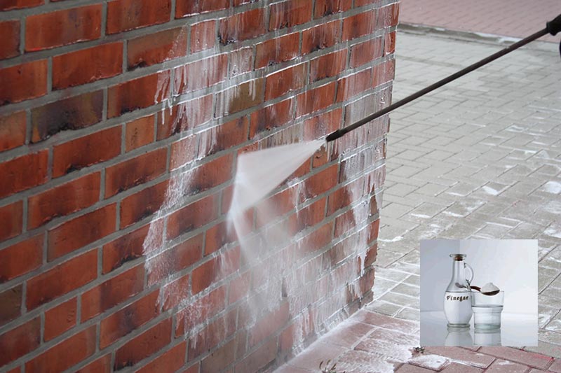 آموزش شستن آجر نما [شستشوی نمای آجری با 5 روش ارزان] - آجر ترنج